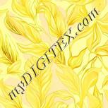 Colour:K