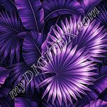 Colour:B
