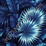Colour:C