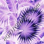 Colour:F