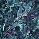 Colour:C