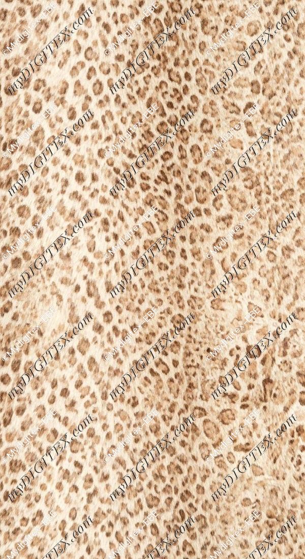 EBE 0008166