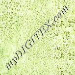 Colour:K