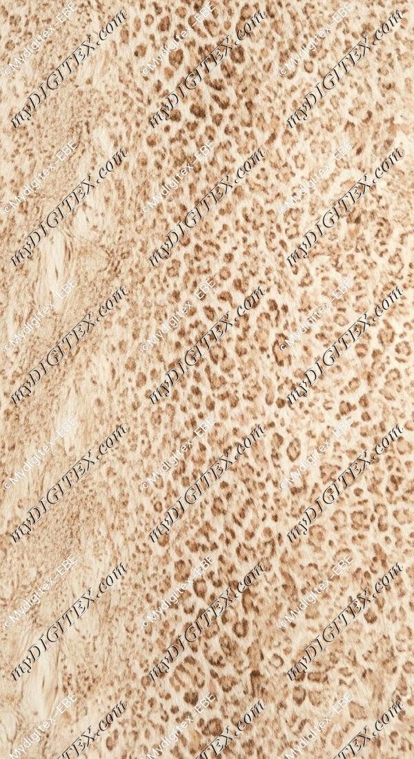 EBE 0008170