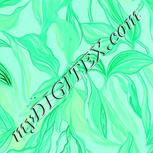 Colour:C