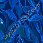 Colour:F