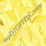 Colour:K