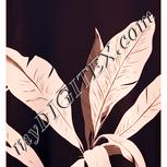 Colour:J