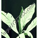 Colour:K