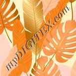 Colour:A
