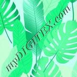 Colour:C
