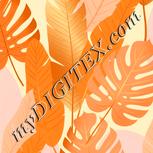 Colour:J
