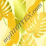 Colour:K