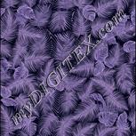 Colour:F