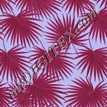 Colour:B