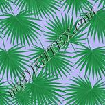 Colour:C