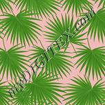 Colour:D