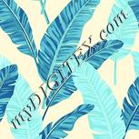 Colour:K
