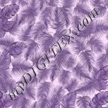 Colour:B