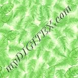 Colour:K