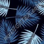 Colour:F