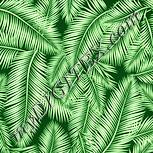 Colour:K