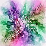 Colour:B