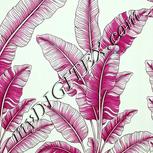 Colour:C