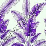 Colour:D
