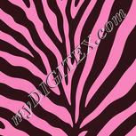 Colour:B