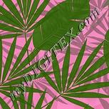 Colour:D