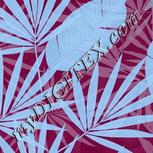 Colour:F