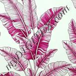 Colour:C