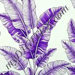 Colour:D