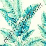 Colour:K