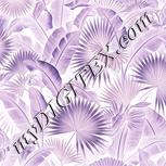 Colour:F