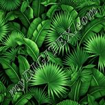 Colour:K