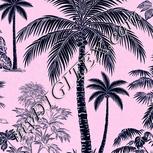 Colour:F