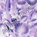 Colour:F