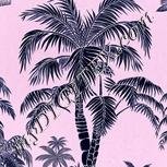 Colour:F