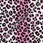 Colour:B