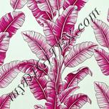 Colour:C