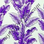 Colour:D