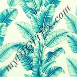 Colour:K