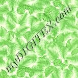 Colour:K