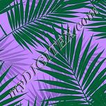 Colour:C