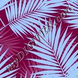 Colour:F