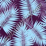Colour:F