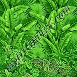 Colour:K
