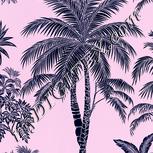 Colour:F